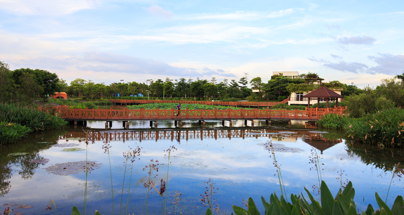 撒野農莊（東莞市鐵漢生態農業觀光園）